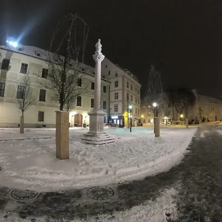 Downtown Apartman *